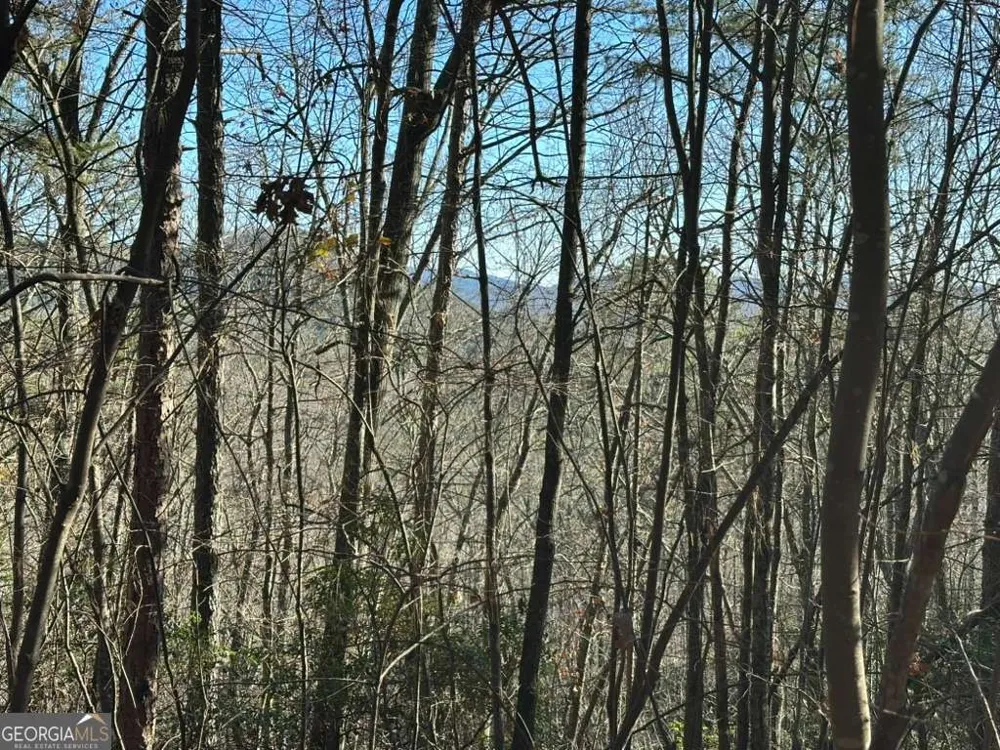 0 Gold Valley RD Sautee Nacoochee, GA 30571