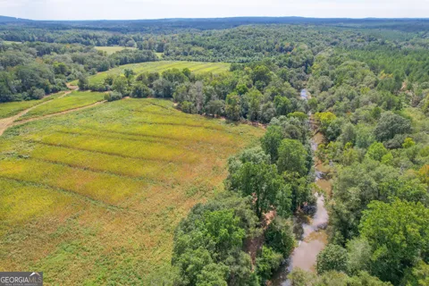 50 +/- Acres off GA HWY 78