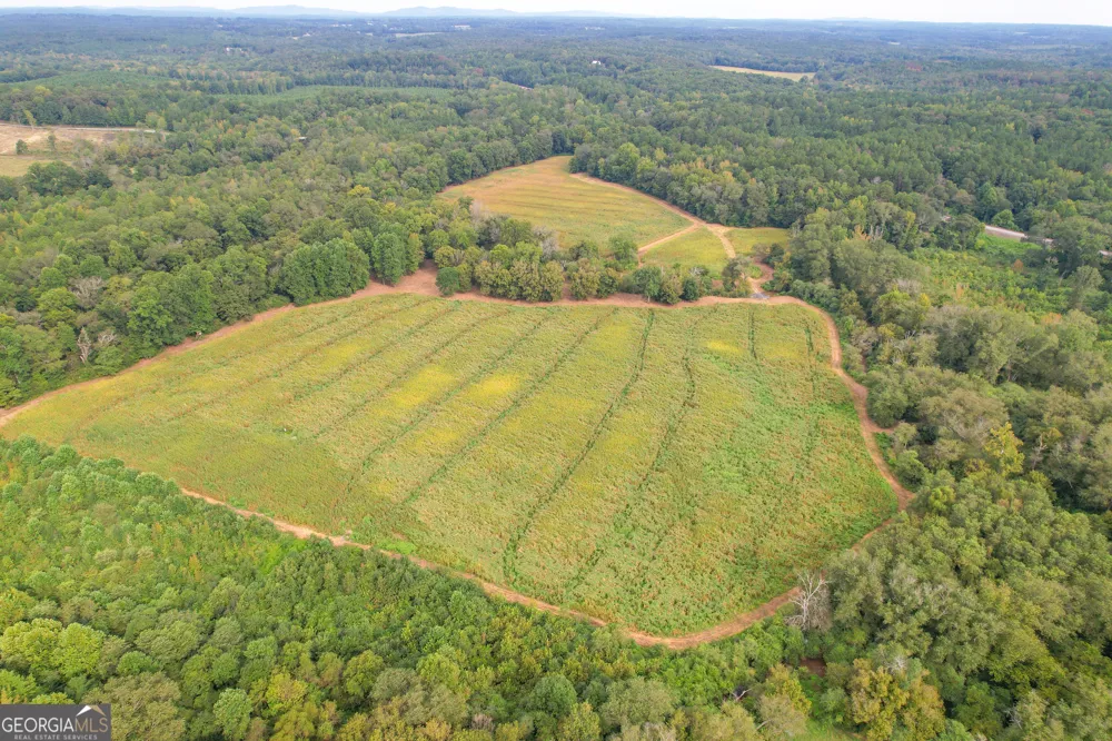 50 +/- Acres off GA HWY 78 Tallapoosa, GA 30176