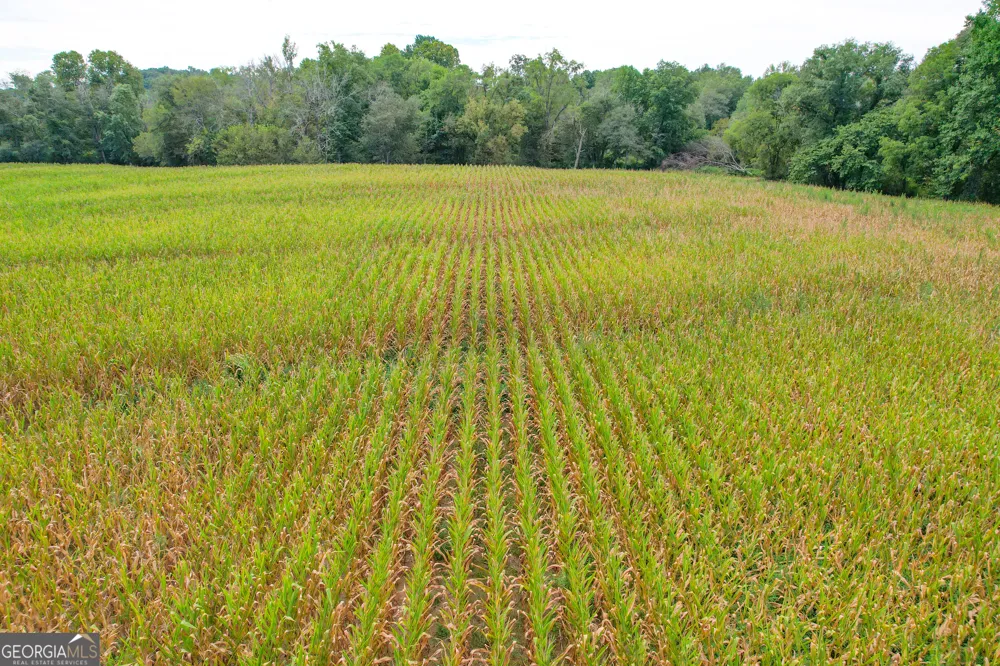 50 +/- Acres off GA HWY 78 Tallapoosa, GA 30176