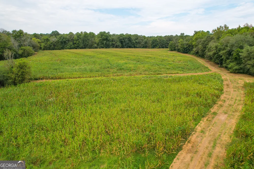 50 +/- Acres off GA HWY 78 Tallapoosa, GA 30176