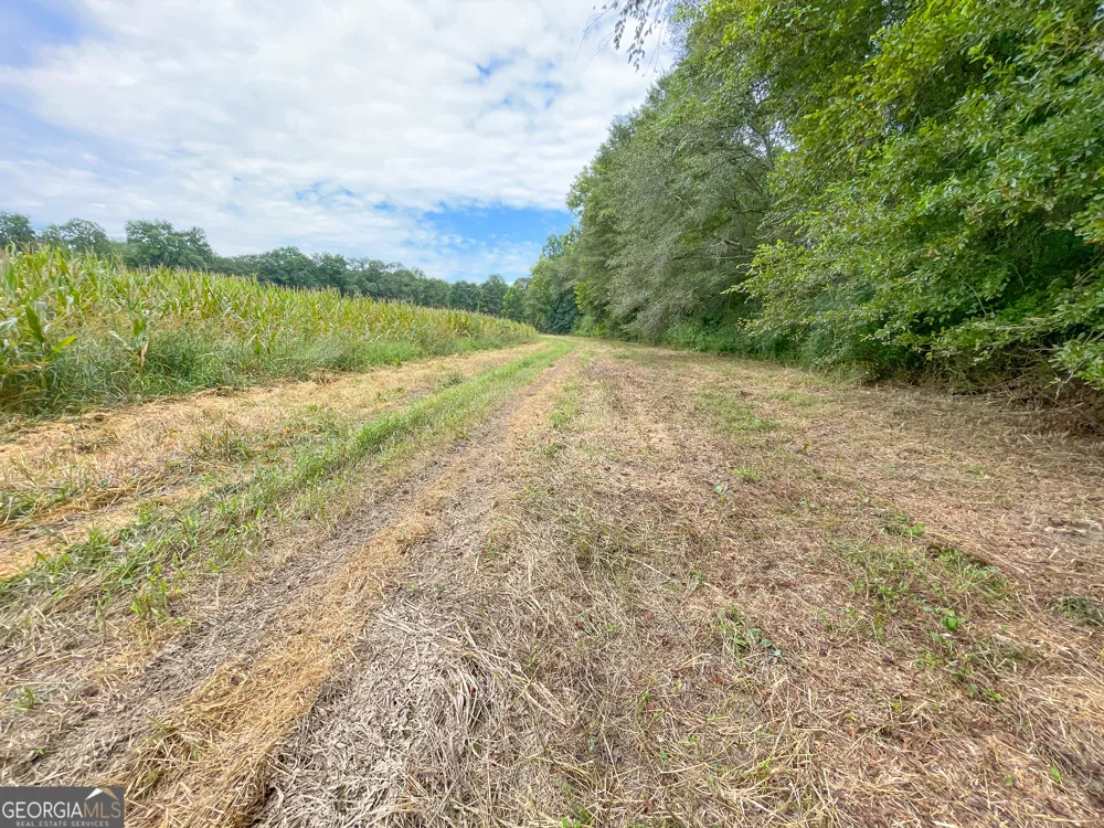 50 +/- Acres off GA HWY 78 Tallapoosa, GA 30176