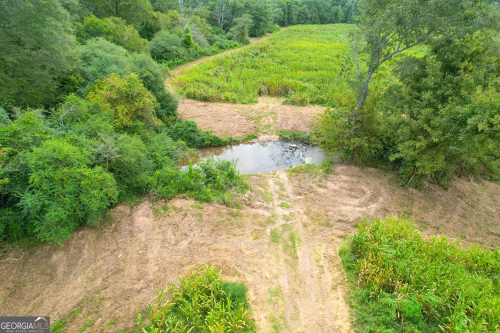 50 +/- Acres off GA HWY 78 Tallapoosa, GA 30176