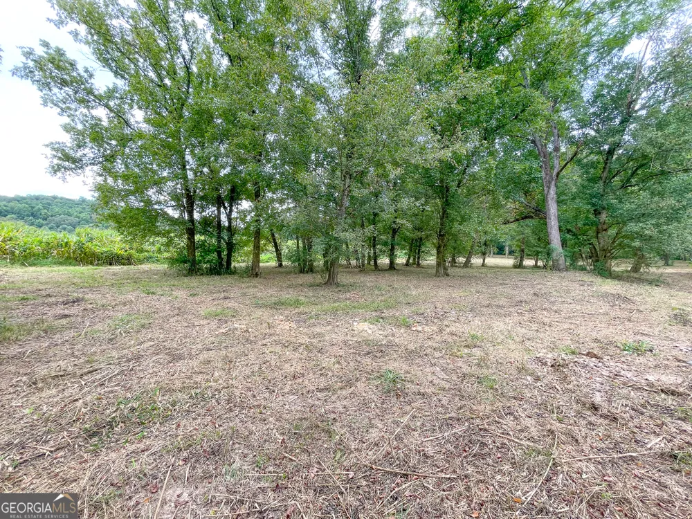 50 +/- Acres off GA HWY 78 Tallapoosa, GA 30176