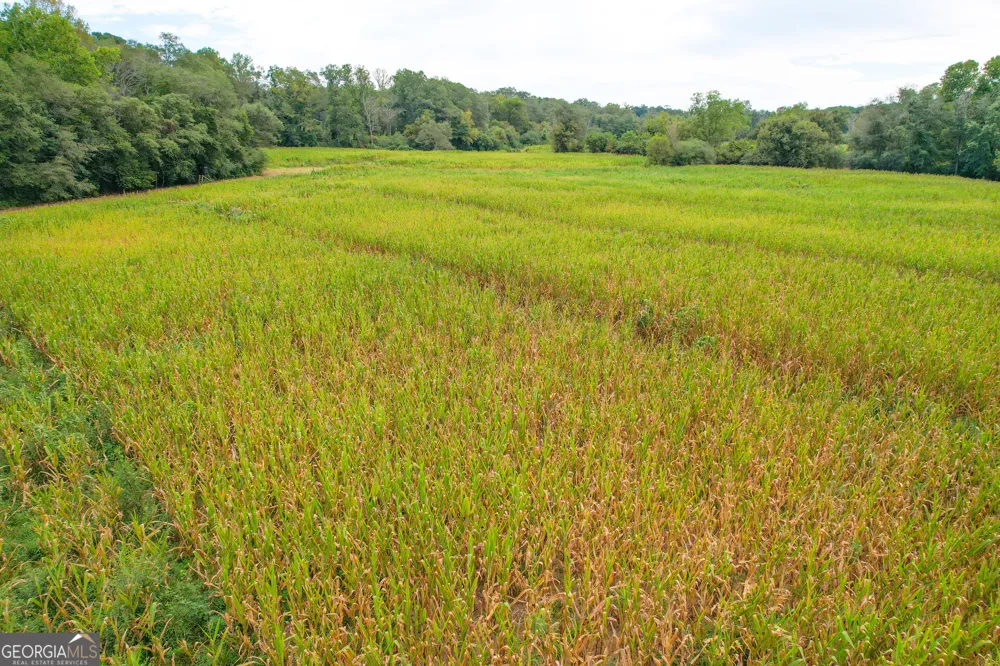 50 +/- Acres off GA HWY 78 Tallapoosa, GA 30176