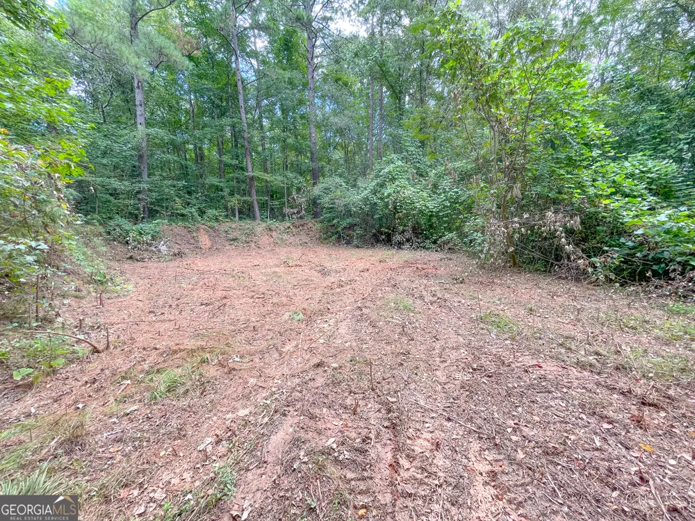 50 +/- Acres off GA HWY 78 Tallapoosa, GA 30176