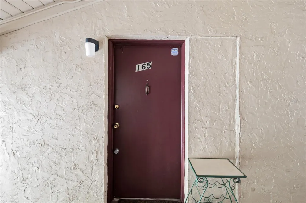 3853 S LAKE DRIVE #165 Tampa, FL 33614