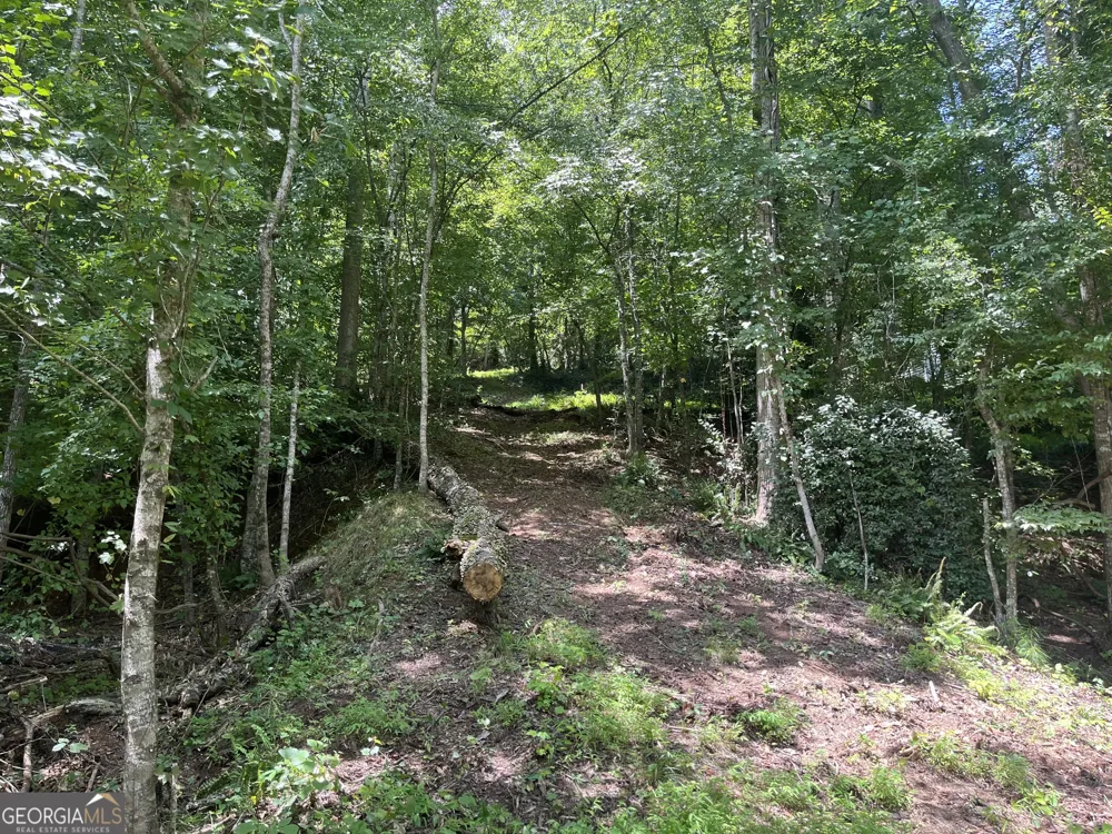 310 E Mourning Dove CT Monticello, GA 31064
