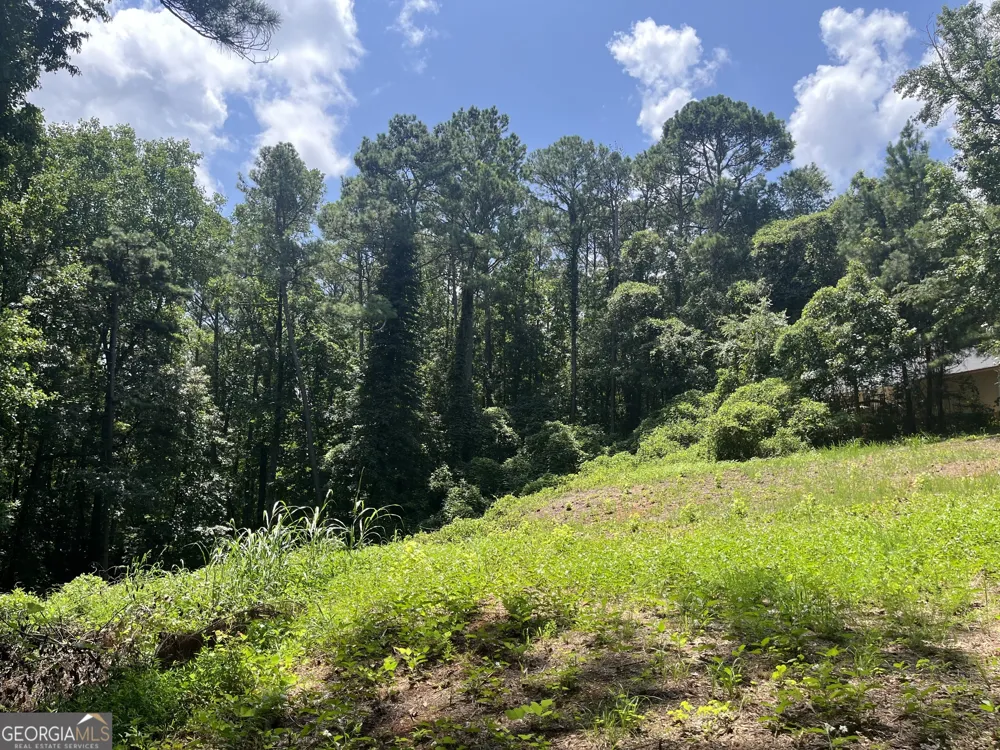 310 E Mourning Dove CT Monticello, GA 31064