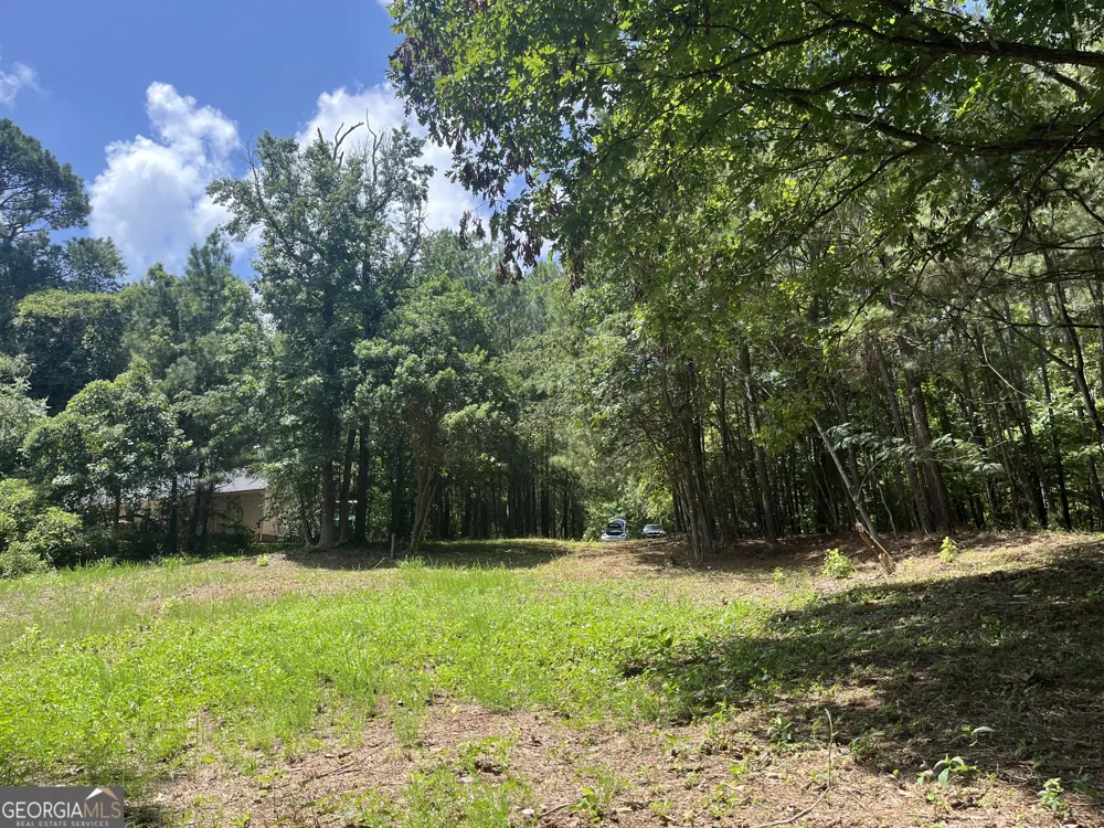310 E Mourning Dove CT Monticello, GA 31064