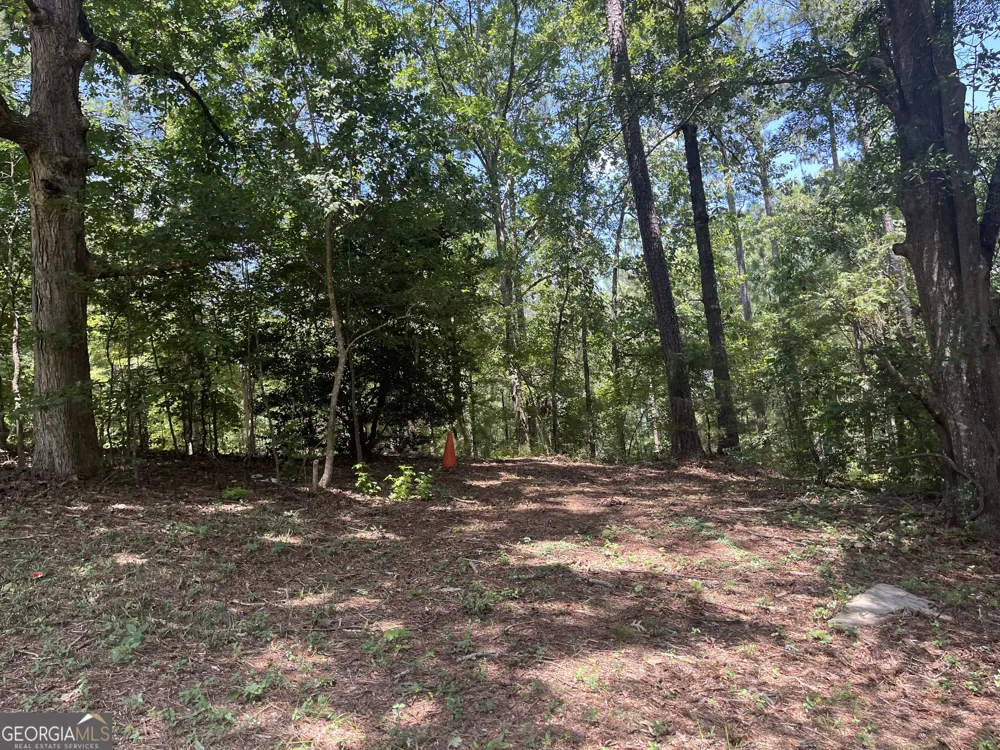 310 E Mourning Dove CT Monticello, GA 31064