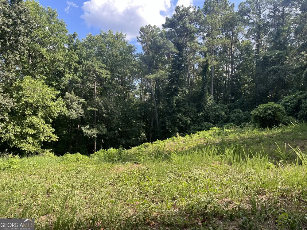 310 E Mourning Dove CT Monticello, GA 31064