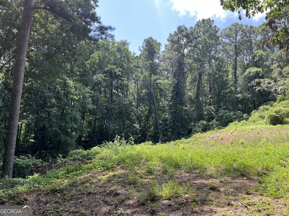 310 E Mourning Dove CT Monticello, GA 31064