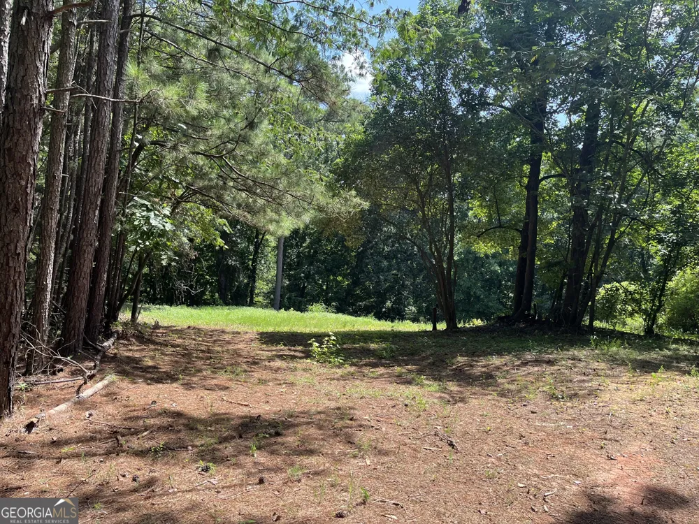310 E Mourning Dove CT Monticello, GA 31064