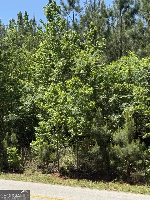 10 ACRES Woodbury Hwy