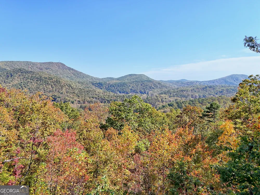 557 Walnut Grove LN Tiger, GA 30576