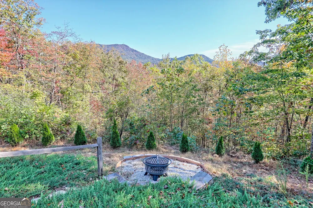 557 Walnut Grove LN Tiger, GA 30576