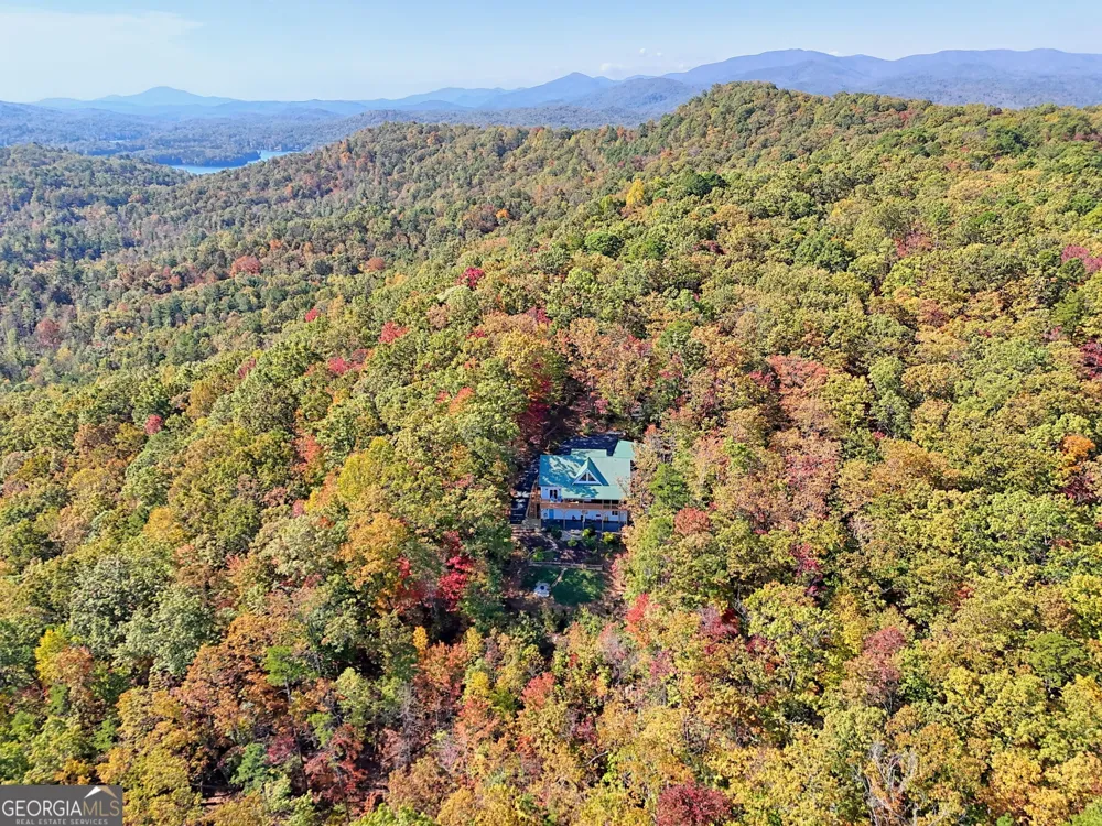 557 Walnut Grove LN Tiger, GA 30576