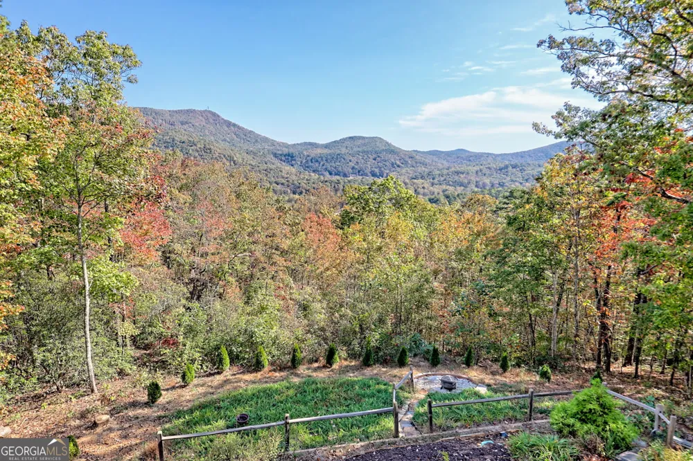 557 Walnut Grove LN Tiger, GA 30576