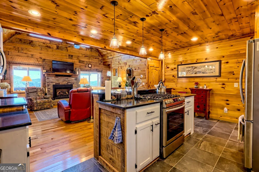 557 Walnut Grove LN Tiger, GA 30576