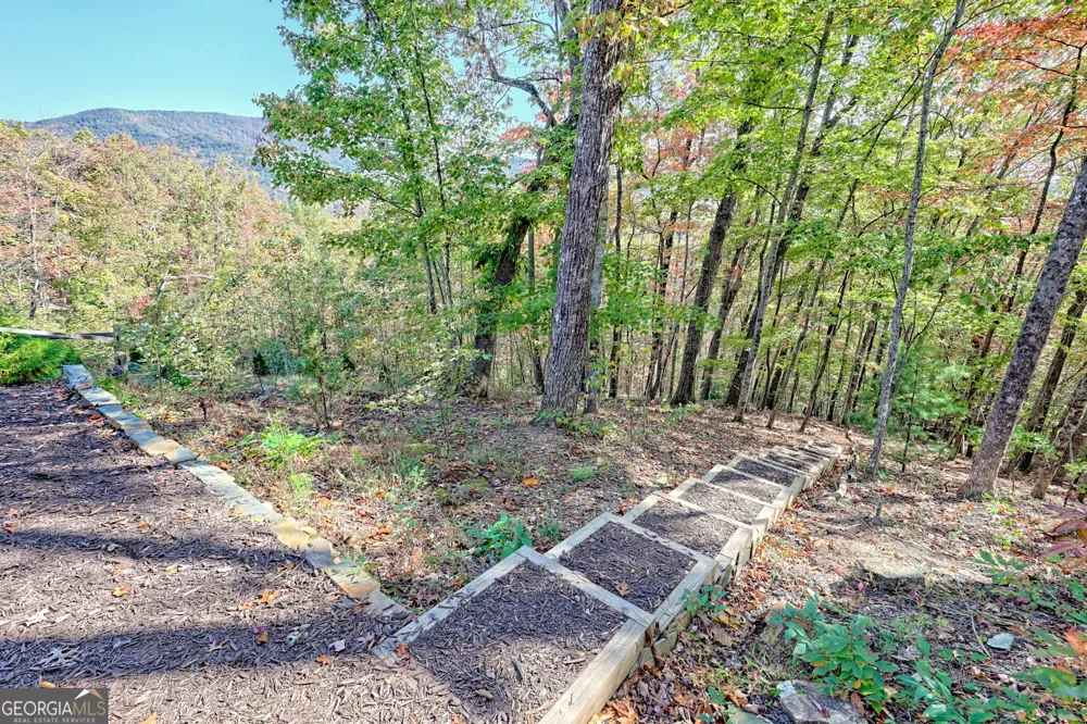 557 Walnut Grove LN Tiger, GA 30576