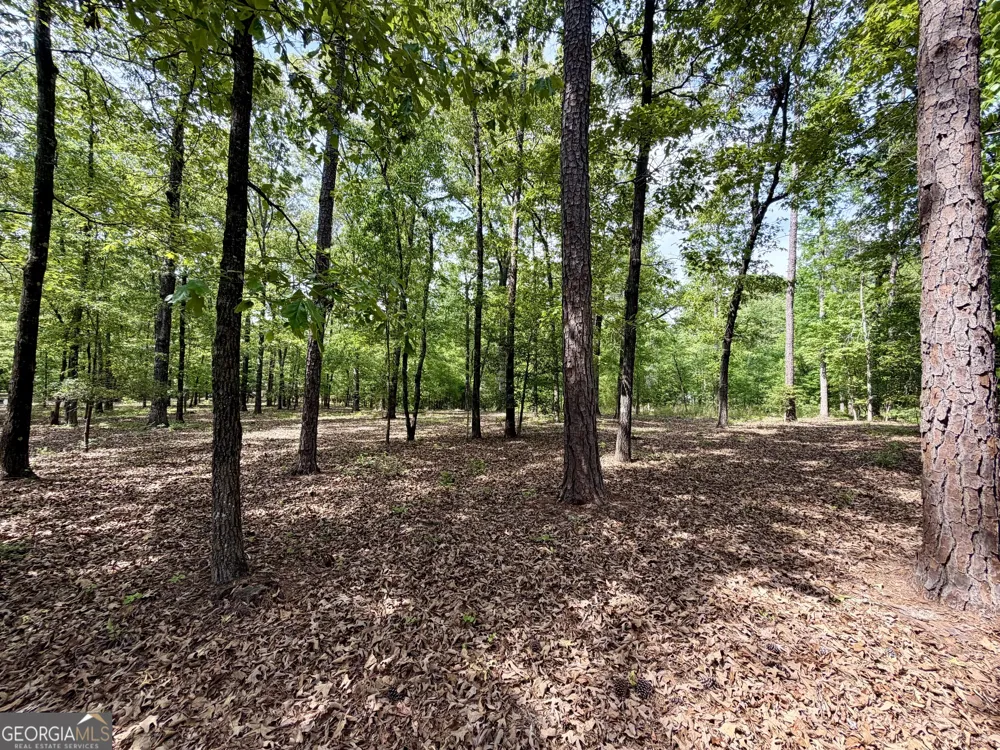 0 Deer Creek TRL Dublin, GA 31021
