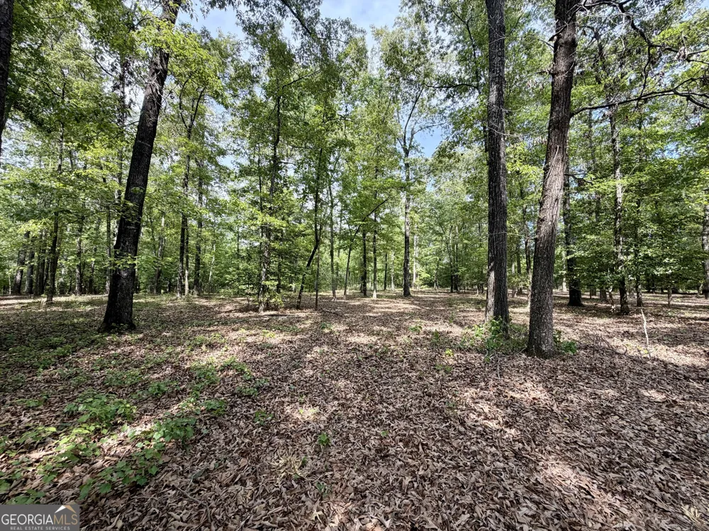 0 Deer Creek TRL Dublin, GA 31021