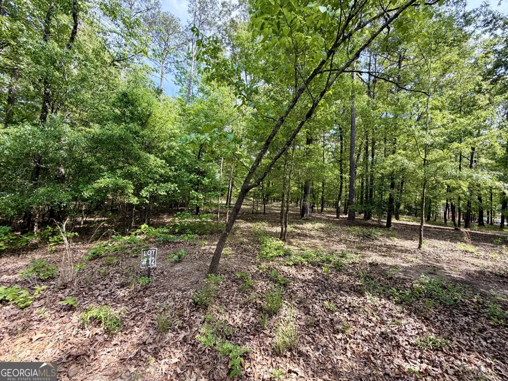 0 Deer Creek TRL Dublin, GA 31021