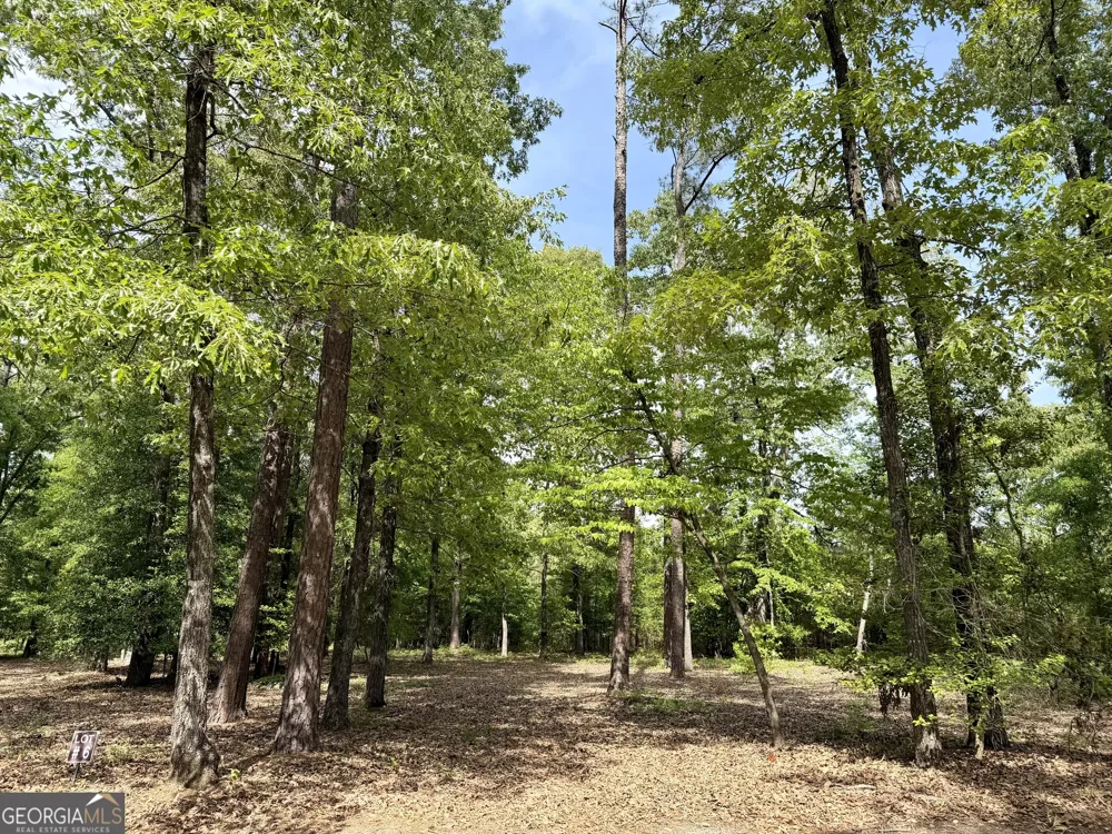 0 Deer Creek TRL Dublin, GA 31021