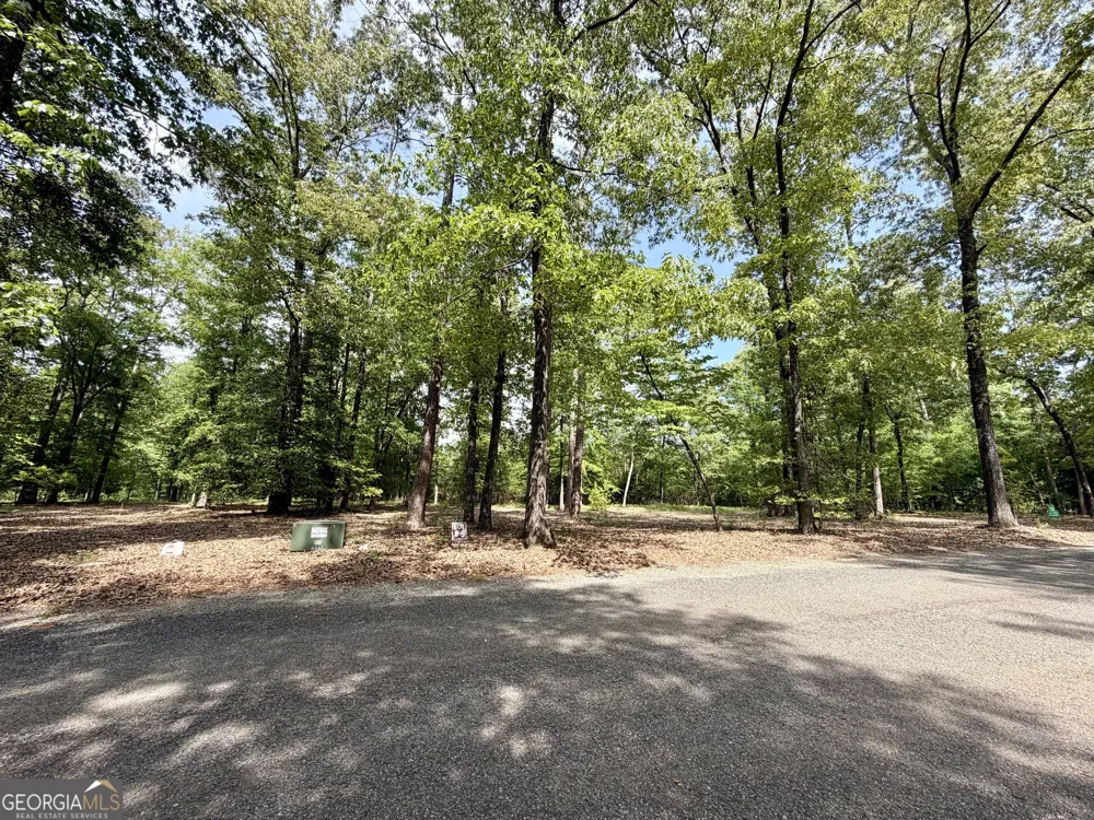 0 Deer Creek TRL Dublin, GA 31021