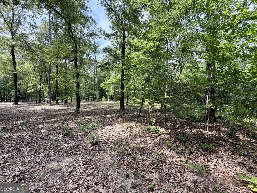 0 Deer Creek TRL Dublin, GA 31021