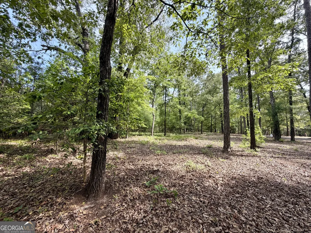 0 Deer Creek TRL Dublin, GA 31021