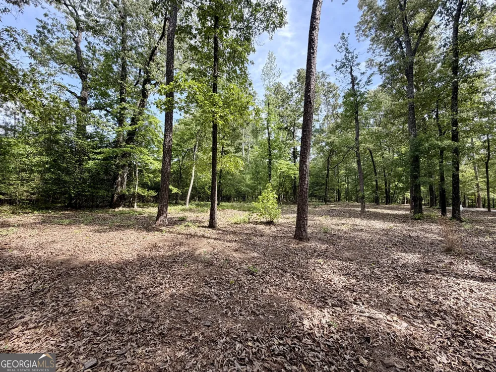 0 Deer Creek TRL Dublin, GA 31021