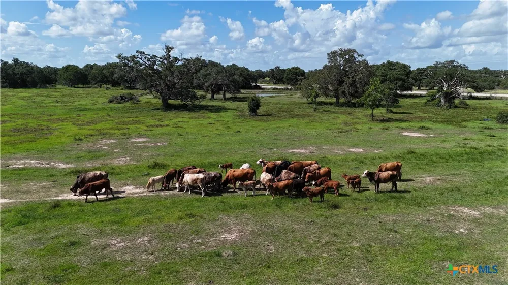 10772 State Highway 111 Edna, TX 77957