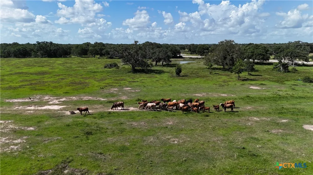 10772 State Highway 111 Edna, TX 77957