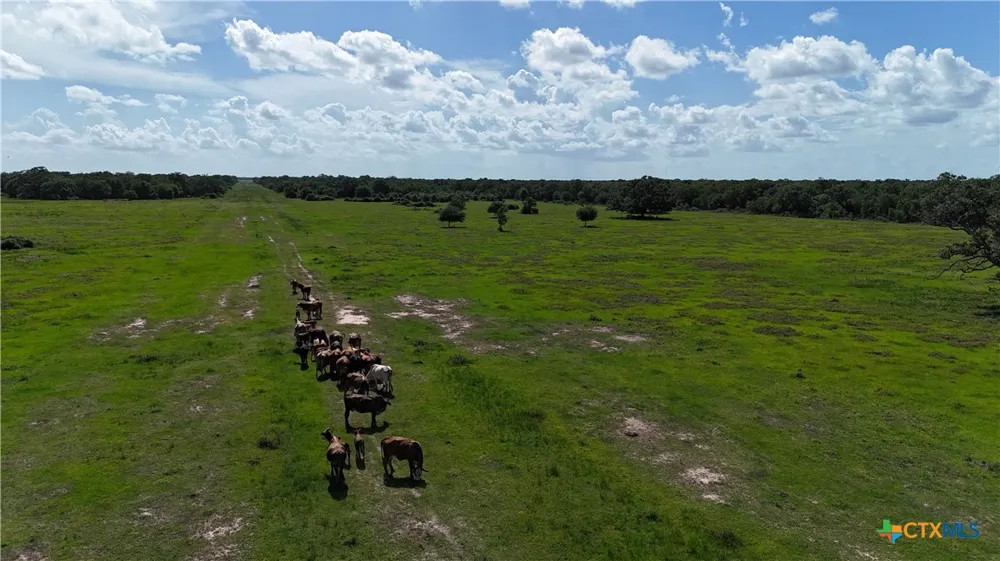10772 State Highway 111 Edna, TX 77957