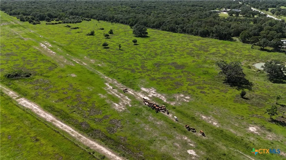 10772 State Highway 111 Edna, TX 77957