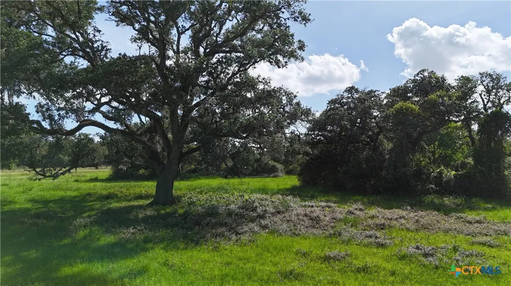 10772 State Highway 111 Edna, TX 77957