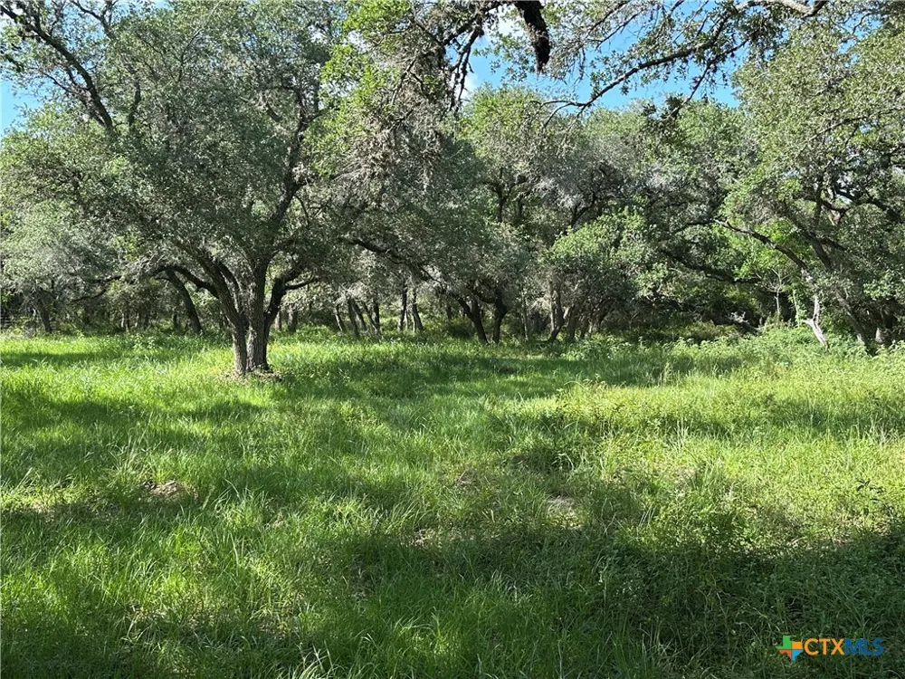 10772 State Highway 111 Edna, TX 77957