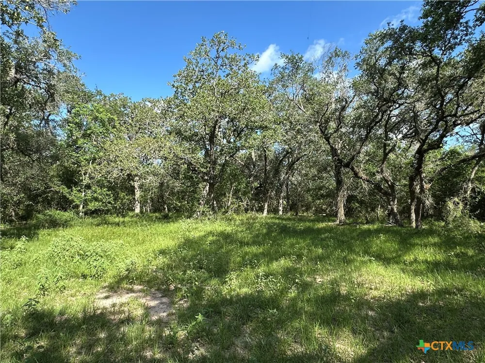 10772 State Highway 111 Edna, TX 77957
