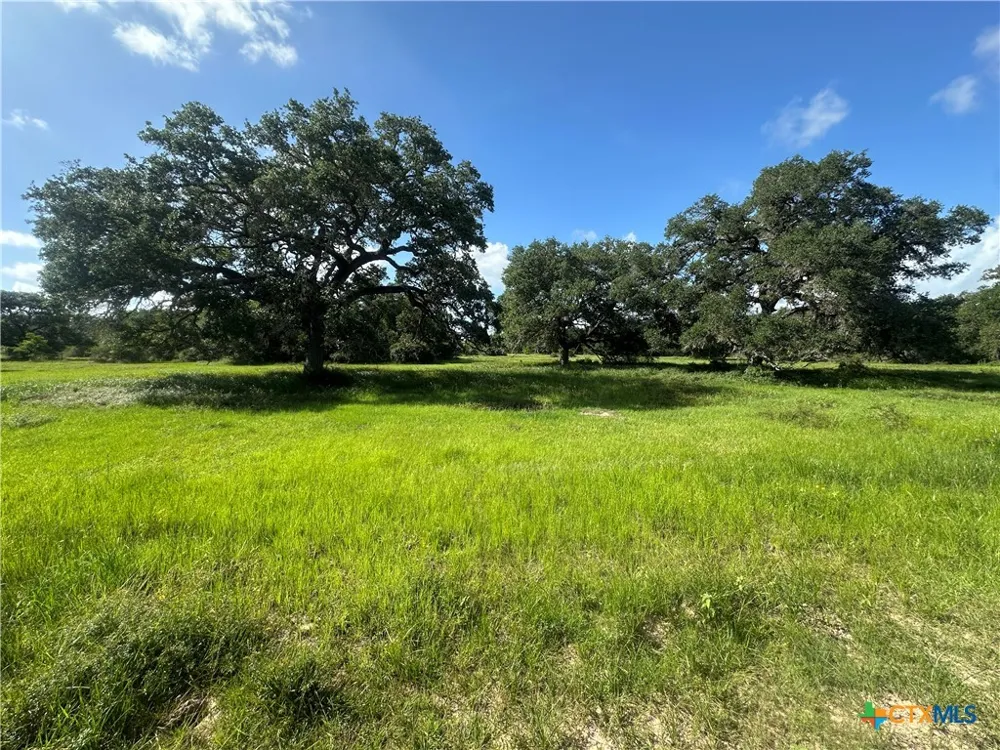 10772 State Highway 111 Edna, TX 77957