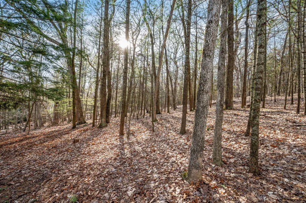 5717 W Pleasant Hill Road Hamlin Township, MI 49411