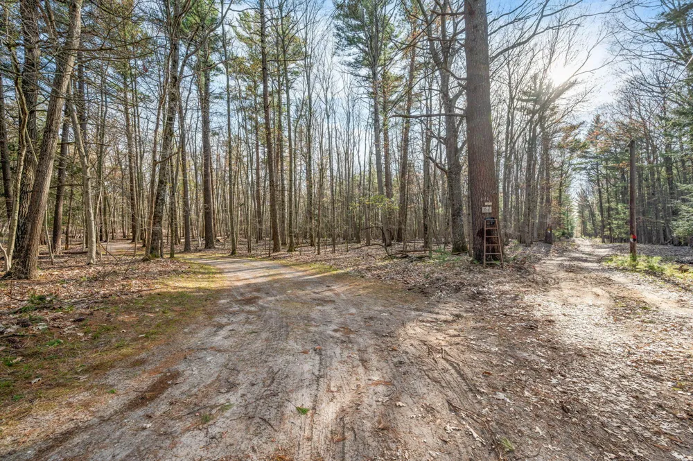 5717 W Pleasant Hill Road Hamlin Township, MI 49411