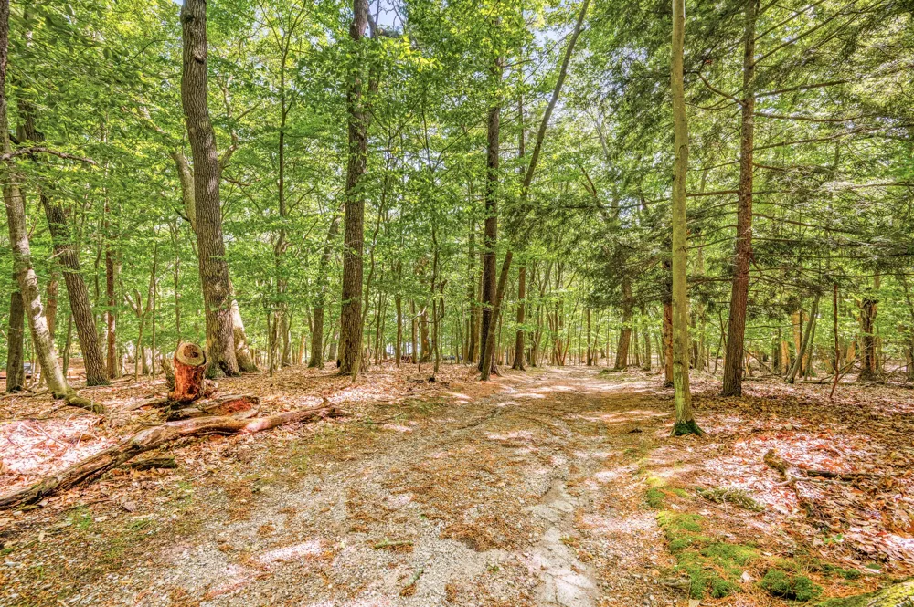 5717 W Pleasant Hill Road Hamlin Township, MI 49411