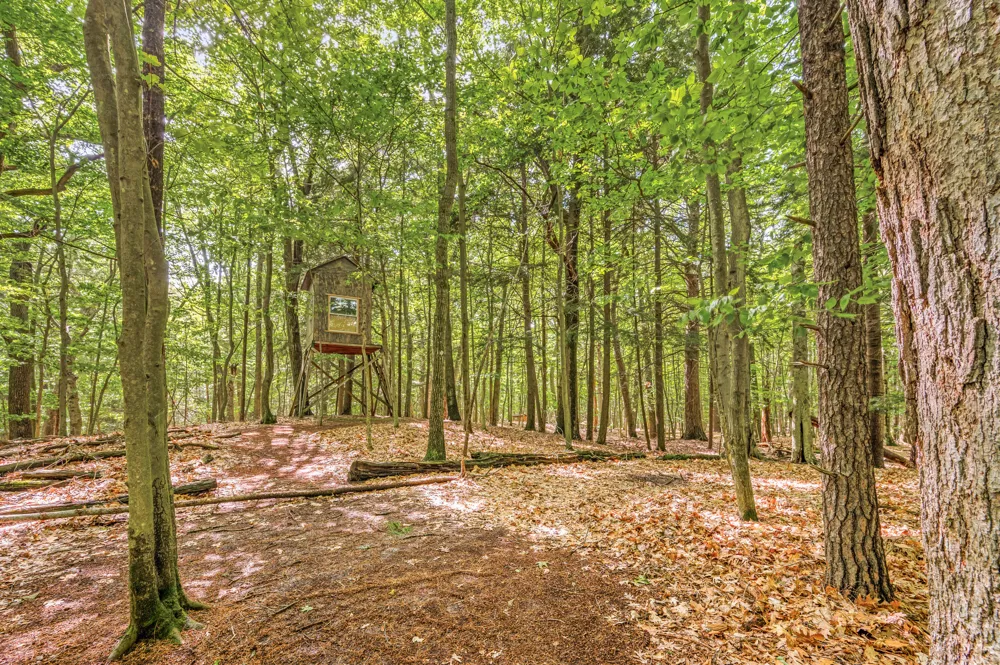 5717 W Pleasant Hill Road Hamlin Township, MI 49411