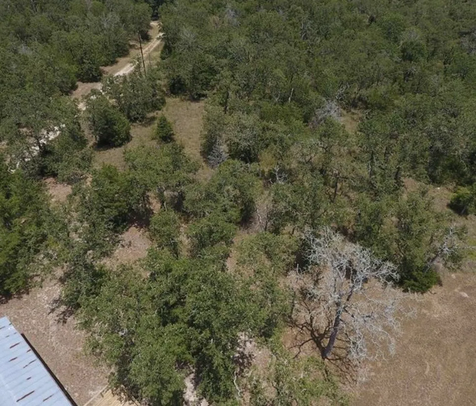 17470 Private Road 4016 Somerville, TX 77879