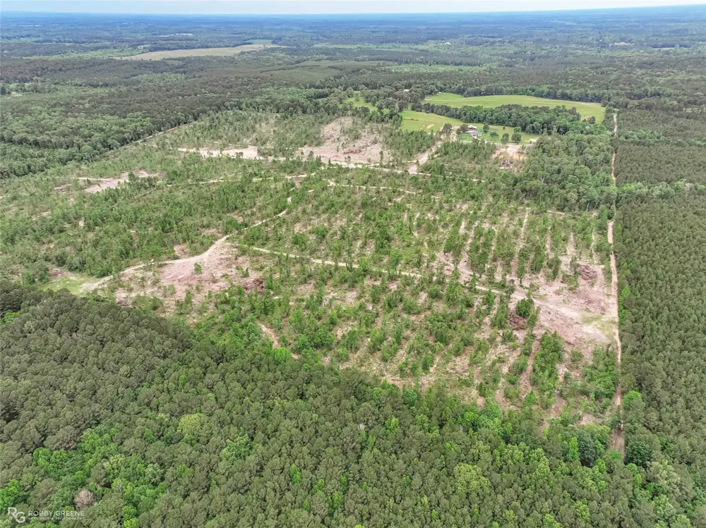 Murry Lane Vivian, LA 71082