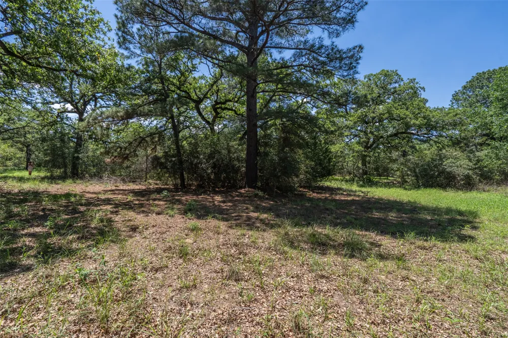133 Roundup Ridge Smithville, TX 78957