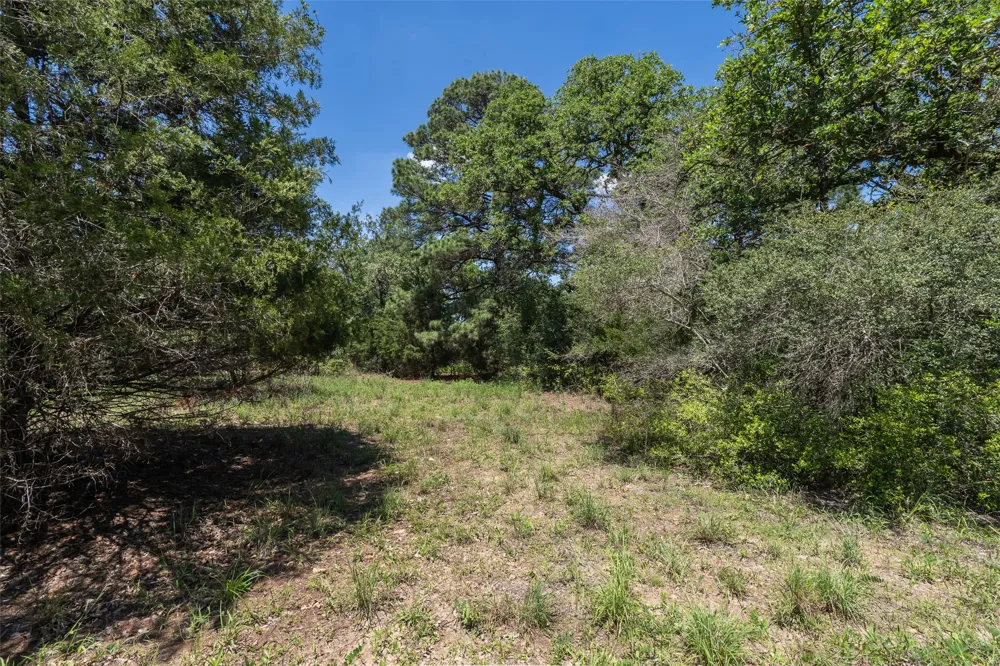 133 Roundup Ridge Smithville, TX 78957