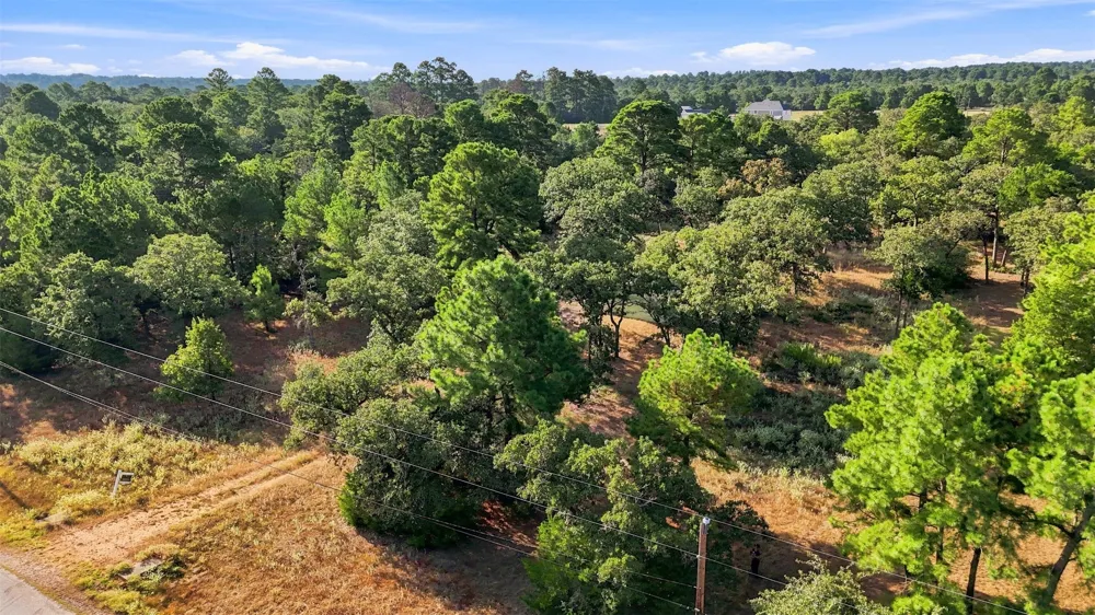133 Roundup Ridge Smithville, TX 78957
